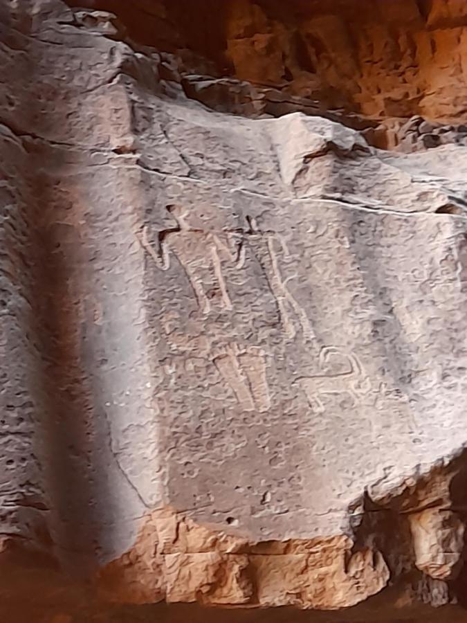 Wadi Rum Camels Camp Esterno foto