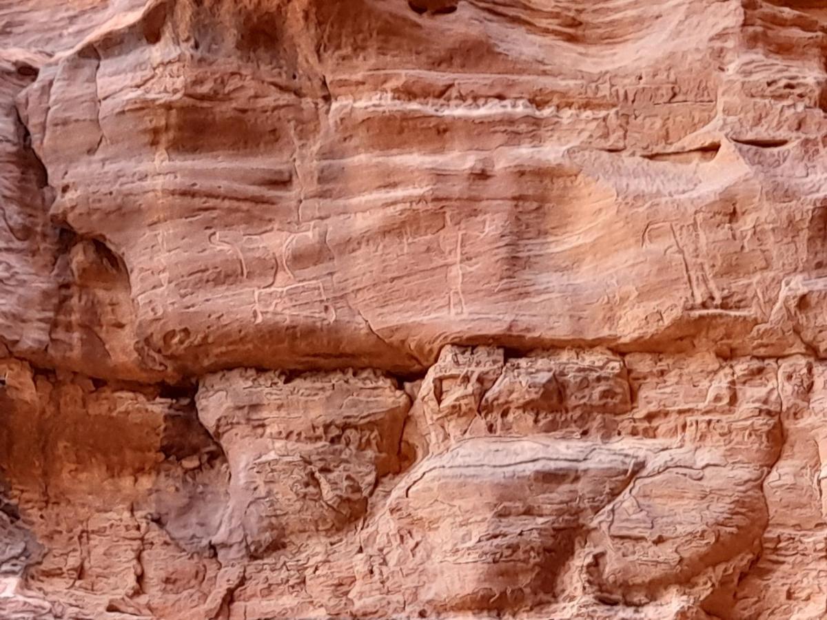 Wadi Rum Camels Camp Esterno foto